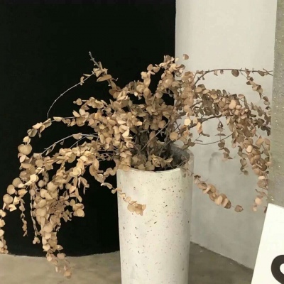 Furry绘画配色实用指南兽圈社群